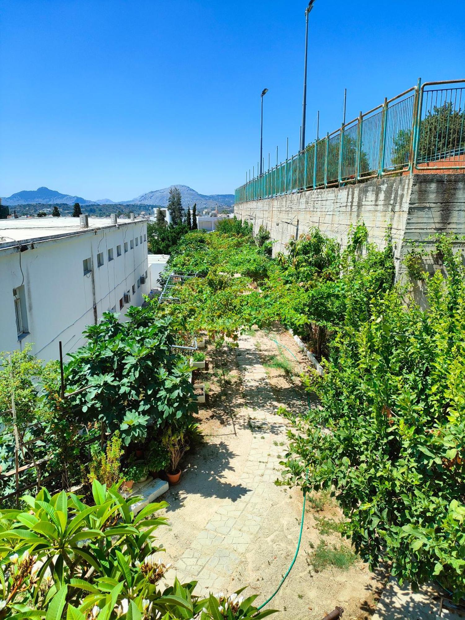 Sky-Line Apartments Afandou Exterior foto